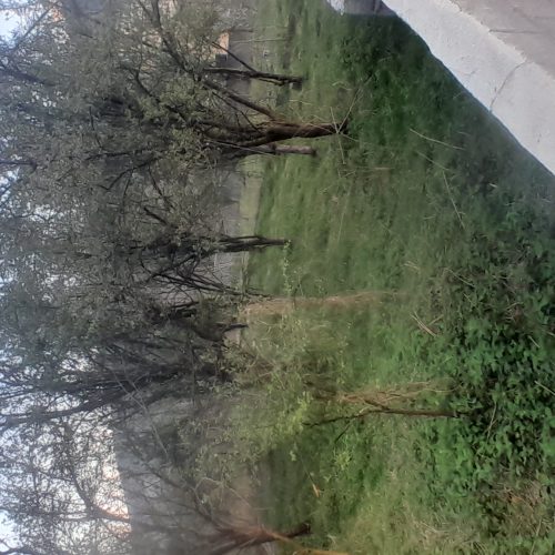 مازندران فروش زمین مسکونی 852متر