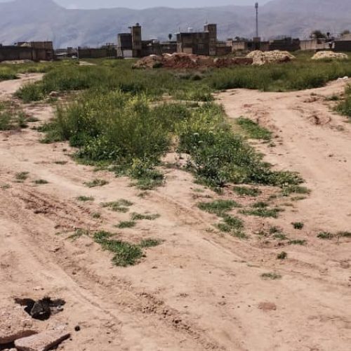 زمین 130متری واقع در جرسقان خیابان سیدالشهدا از زمین های نیاز الله فتحی موقعیت بسیار عالی سردونپش خیابان 10متری کوچه 8متری نزدیک به ایستگاه اتوبوس و…