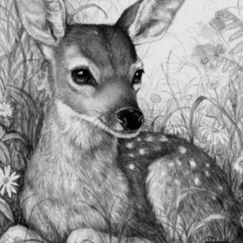 تابلو نقاشی