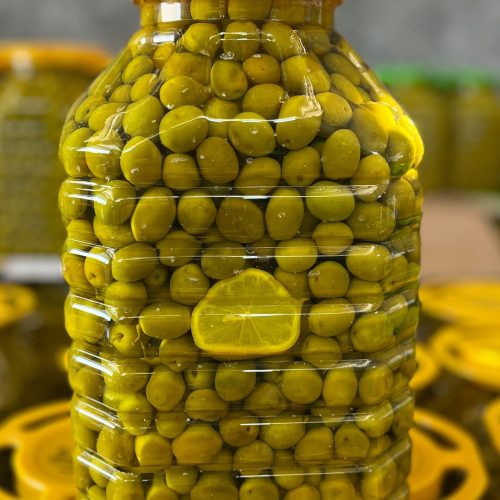 زیتون رودبار و طارم