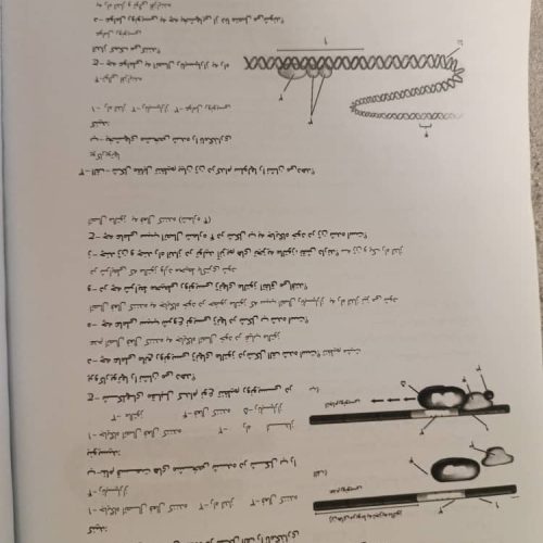 کتاب کمک درسی زیست دوازدهم