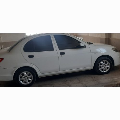 ساینا معمولی 1401