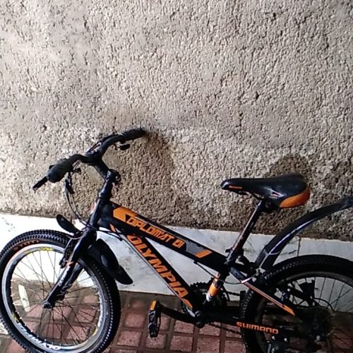 دوچرخه  بیست درحد نو