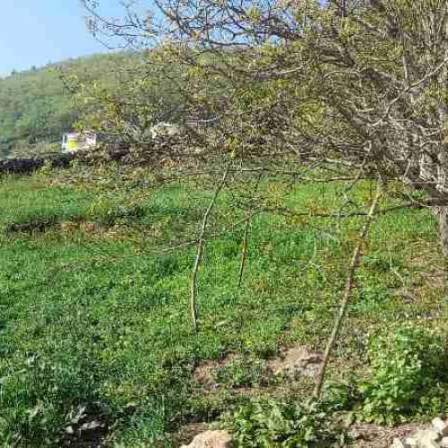 454متر قابل ساخت