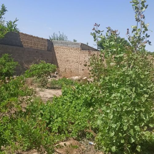 چهار دیواری