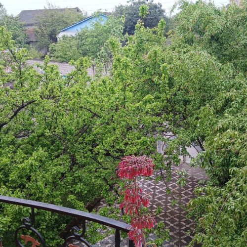 فروش فوری خانه ویلایی