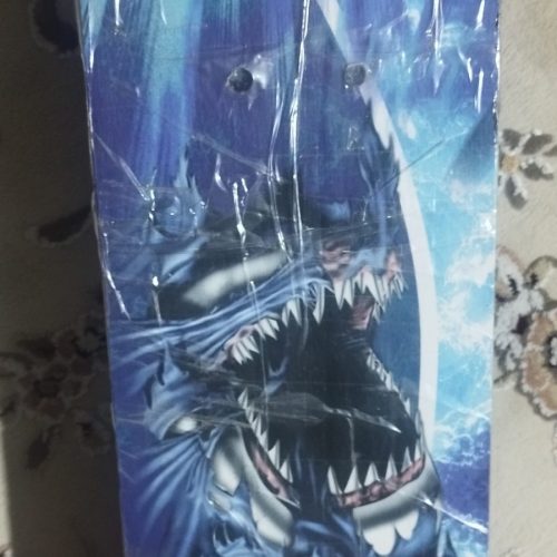 اسکیت برد نو