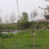 زمین مسکونی واسه باغ ویلا