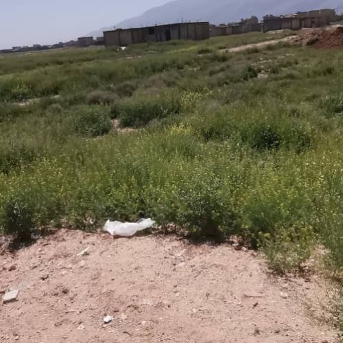 زمین 130متری واقع در جرسقان خیابان سیدالشهدا از زمین های نیاز الله فتحی موقعیت بسیار عالی سردونپش خیابان 10متری کوچه 8متری نزدیک به ایستگاه اتوبوس و…