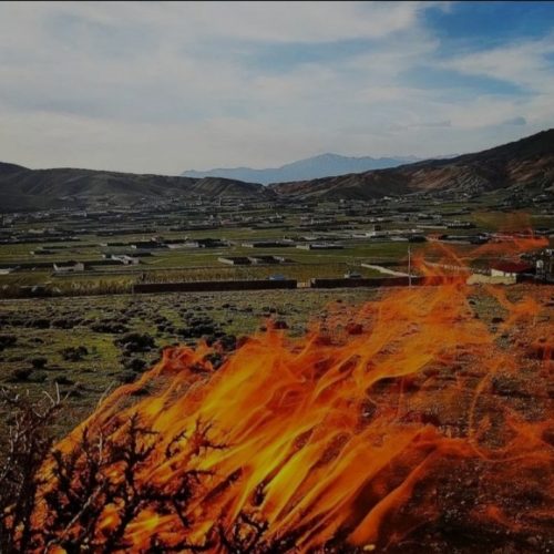 دیوار کشی و پیمانکاری از ساختمان از صفر تا صد