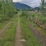 زمین واقع در بازارچه قعله رودخان