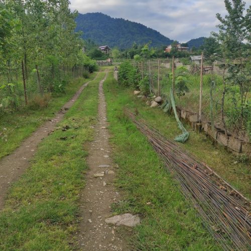 زمین واقع در بازارچه قعله رودخان