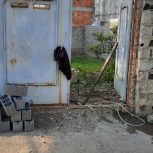 ساری بلوار کشاورز پایین دزا