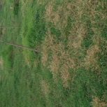 زمین  164 متری