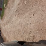 باغ با سلیقه در باغمعروف