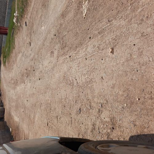 باغ با سلیقه در باغمعروف