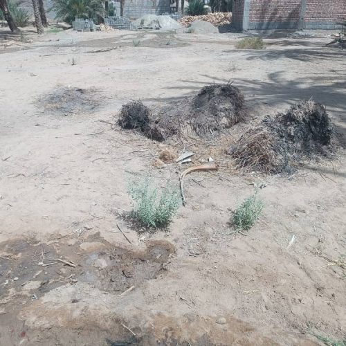 زمین فروشی 600متری در ایرانشهر محمد اباد