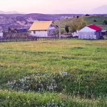 فروش یک قطعه زمین کشاورزی به متراژ هزار متر مربع