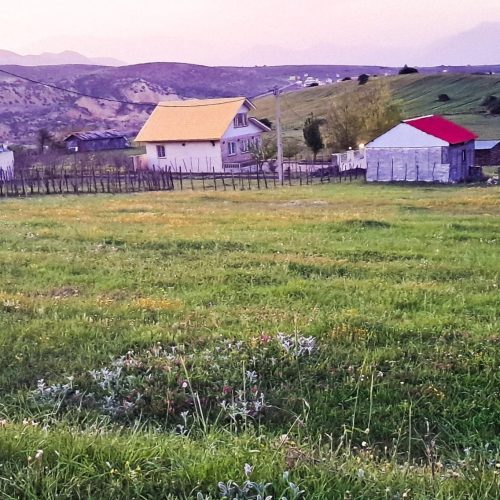 فروش یک قطعه زمین کشاورزی به متراژ هزار متر مربع
