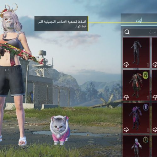 اکانت پابجی