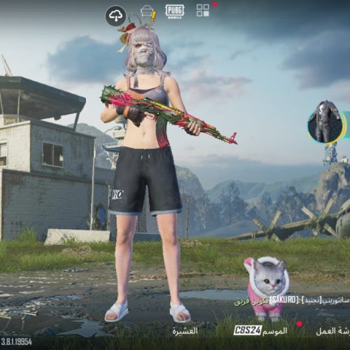 اکانت پابجی