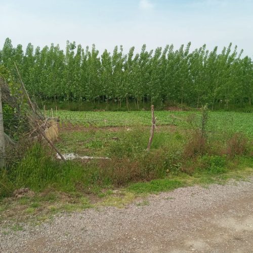 زمین با کاربری مسکونی