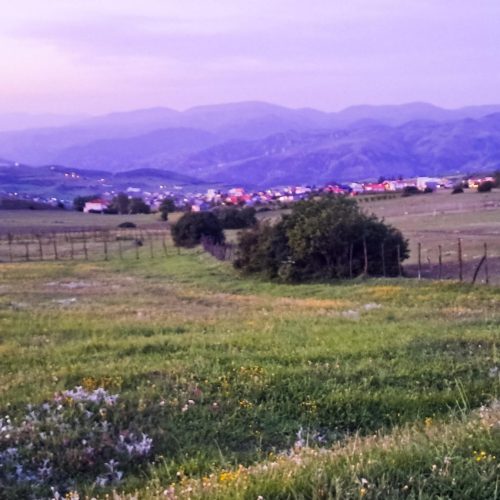 فروش یک قطعه زمین کشاورزی به متراژ هزار متر مربع