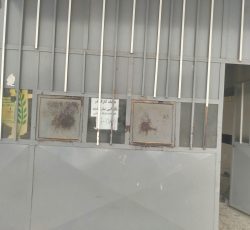 به یک کار در نانوای میکردم