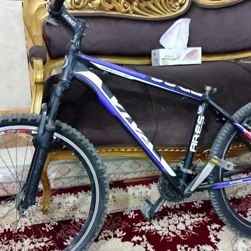 دوچرخه ویوا سالم