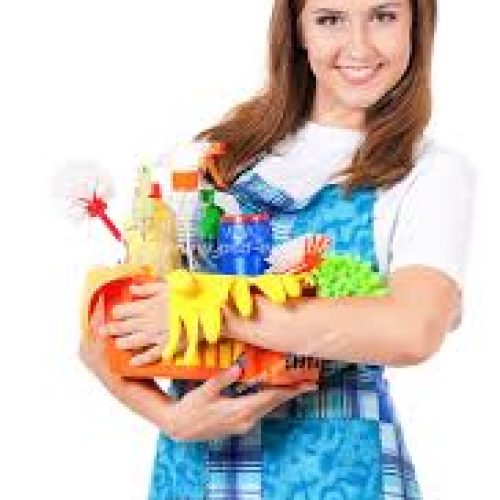 خانمم نظافت منزل و محل کار