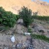 باغ انار و گلابی
