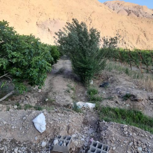 باغ انار و گلابی