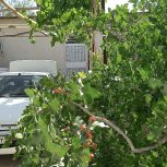 خانه باغ ،روستای دوچاهی