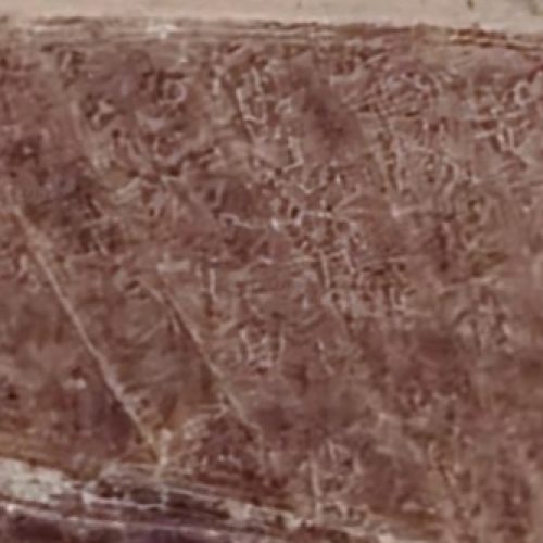 زمین کشاورزی