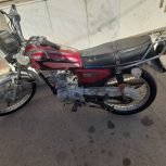 منور مدل88بهپر