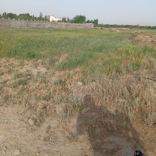 زمین کشاورزی