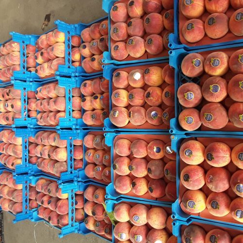 میوه های لوکس سردرختی