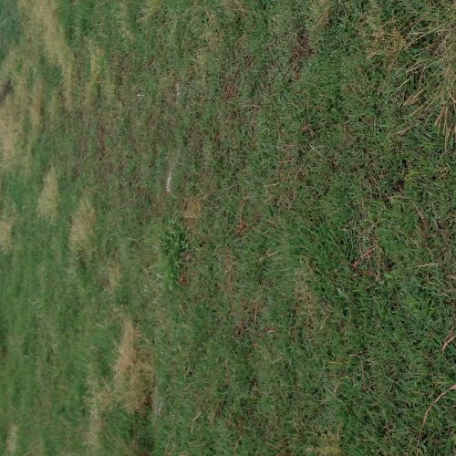 زمین  164 متری