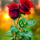 حفر چاه نیم عمیق و چاه لوله بتونی وگنگی