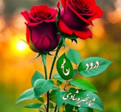 حفر چاه نیم عمیق و چاه لوله بتونی وگنگی