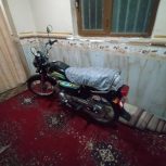 موتور پاکستانی سونتی ژاپنی فوری فوری