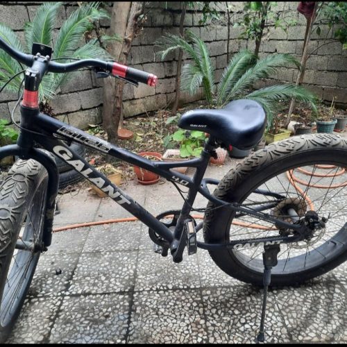 دوچرخه ساحلی