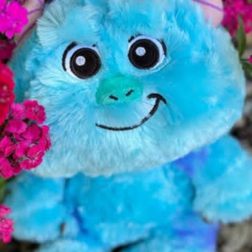 پیام بدید یا تماس بگیرید