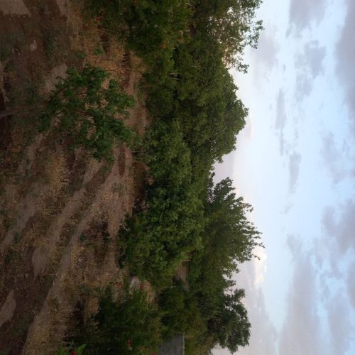 باغ با بنا و استخر قم