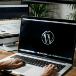 (طراحی وبسایت)