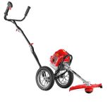 علف چین رونیکس نو