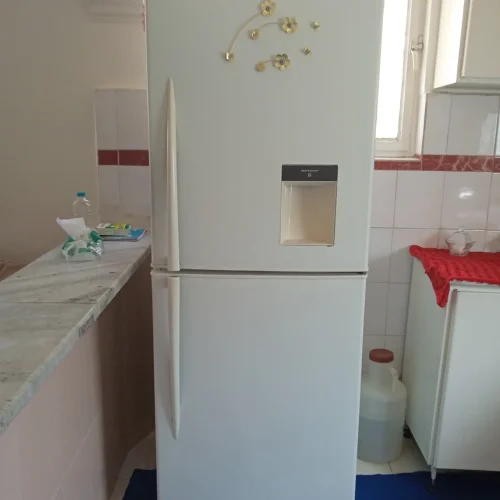 یخچال فریزر دو دره