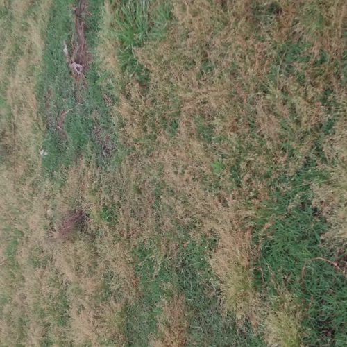 زمین  164 متری