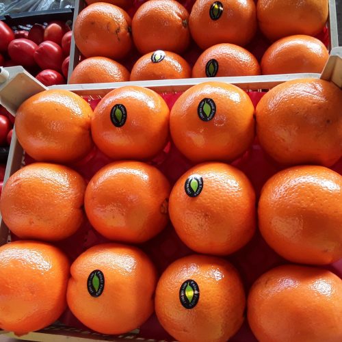 میوه های لوکس سردرختی