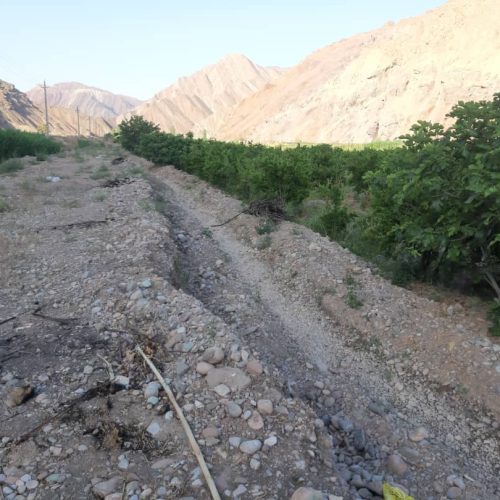 باغ انار و گلابی